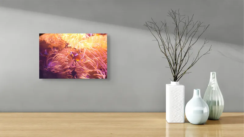 Tablou Canvas, "Clovn printre tentaculele anemonelor vii", Corali, Pești, Anemone, Subacvatic, Colorat, Vibrant, Acvatic, Oceanic, 39 x 26 cm – poza 8