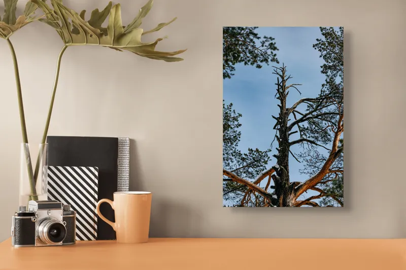 Tablou Canvas, "Arborele solitar al cerului albastru", Pin, Cer, Ramuri, Natura, Inaltime, Lumina, Frumusete, Peisaj., 26 x 39 cm – poza 3