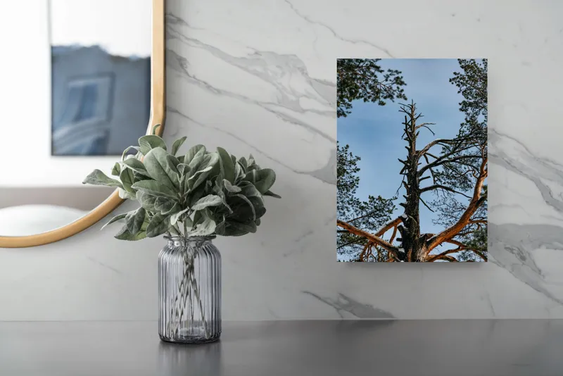 Tablou Canvas, "Arborele solitar al cerului albastru", Pin, Cer, Ramuri, Natura, Inaltime, Lumina, Frumusete, Peisaj., 26 x 39 cm – poza 4