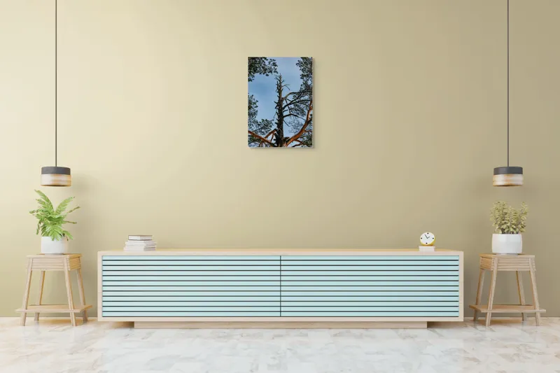 Tablou Canvas, "Arborele solitar al cerului albastru", Pin, Cer, Ramuri, Natura, Inaltime, Lumina, Frumusete, Peisaj., 50 x 70 cm – poza 6