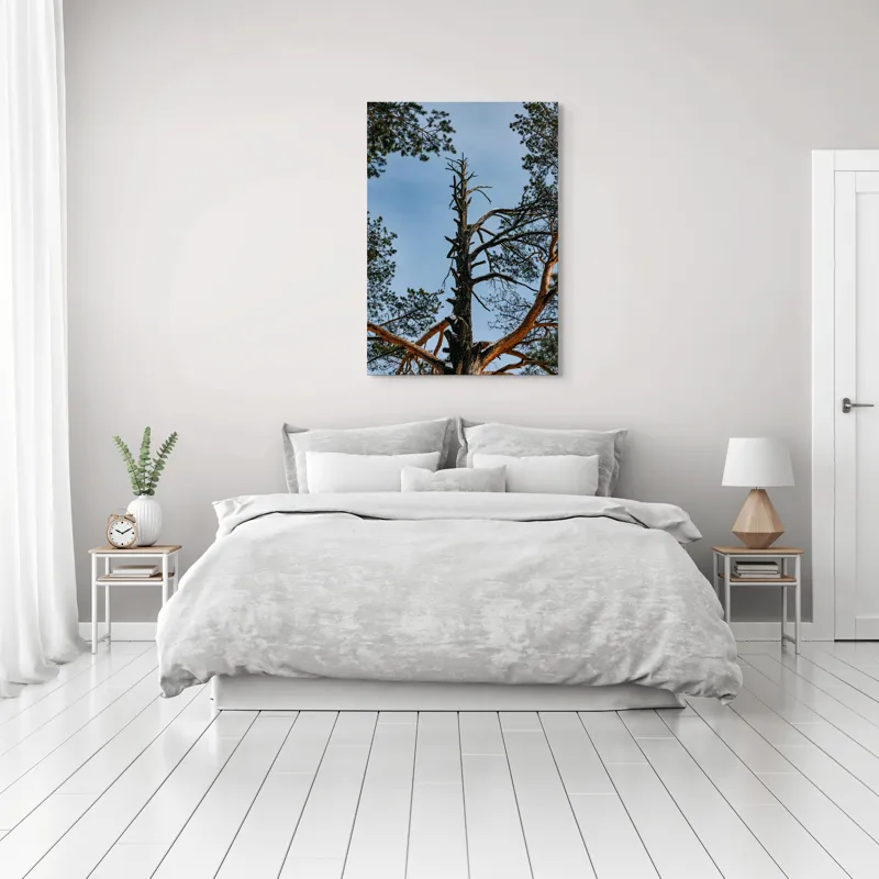 Tablou Canvas, "Arborele solitar al cerului albastru", Pin, Cer, Ramuri, Natura, Inaltime, Lumina, Frumusete, Peisaj., 70 x 100 cm – poza 3