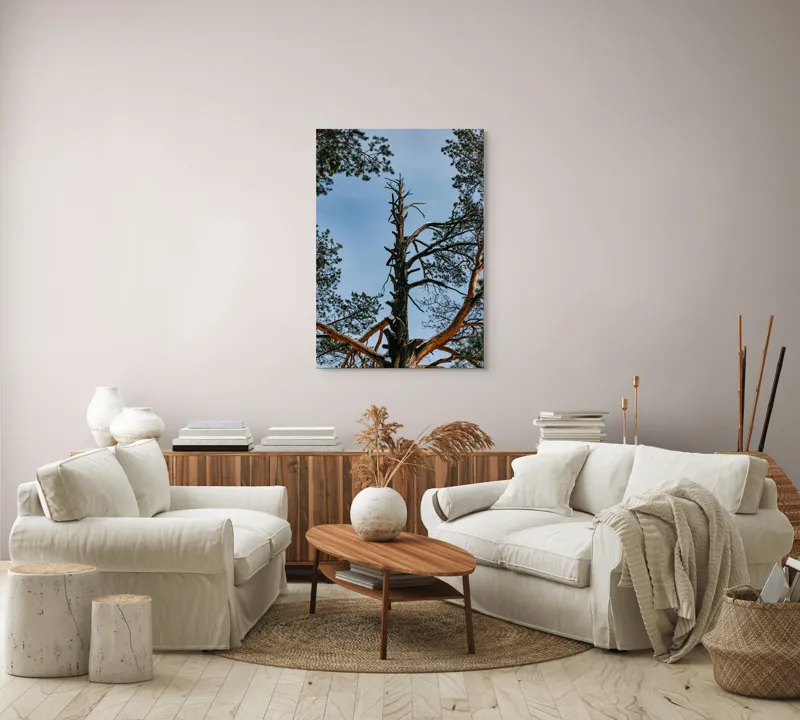 Tablou Canvas, "Arborele solitar al cerului albastru", Pin, Cer, Ramuri, Natura, Inaltime, Lumina, Frumusete, Peisaj., 70 x 100 cm – poza 4