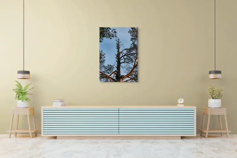 Tablou Canvas, "Arborele solitar al cerului albastru", Pin, Cer, Ramuri, Natura, Inaltime, Lumina, Frumusete, Peisaj., 70 x 100 cm – poza 5