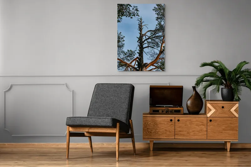 Tablou Canvas, "Arborele solitar al cerului albastru", Pin, Cer, Ramuri, Natura, Inaltime, Lumina, Frumusete, Peisaj., 70 x 100 cm – poza 6
