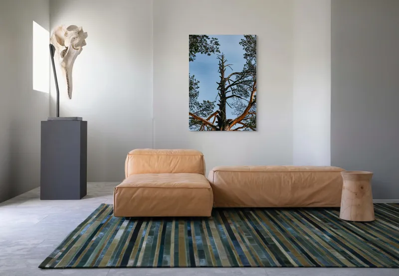 Tablou Canvas, "Arborele solitar al cerului albastru", Pin, Cer, Ramuri, Natura, Inaltime, Lumina, Frumusete, Peisaj., 70 x 100 cm – poza 7