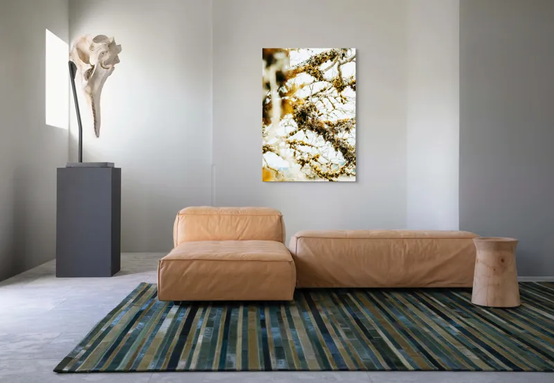 Tablou Canvas, "Crengile acoperite de mușchi toamna", Frunziș, Încâlcit, Texturi, Mușchi, Ramuri, Deschis, Natural, Complex, Organic, Pământiu, 70 x 100 cm – poza 7