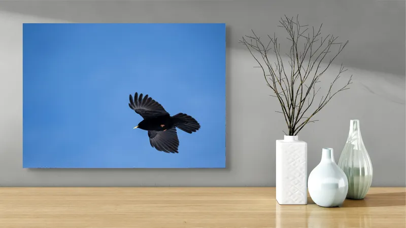 Tablou Canvas, "Pasărea solitară în zbor senin", Pasăre, Albastru, Cer, Zbor, Pene, Libertate, Natură, Liniște, 70 x 50 cm – poza 3