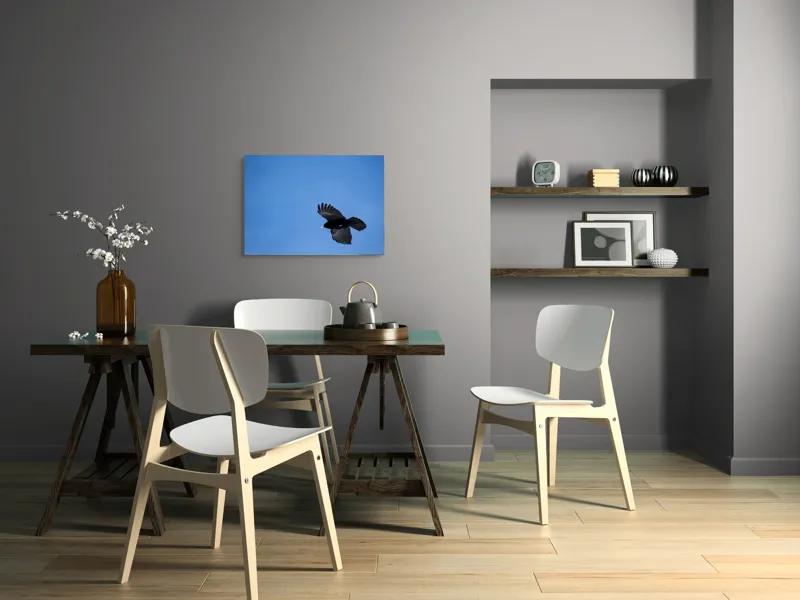 Tablou Canvas, "Pasărea solitară în zbor senin", Pasăre, Albastru, Cer, Zbor, Pene, Libertate, Natură, Liniște, 70 x 50 cm – poza 5