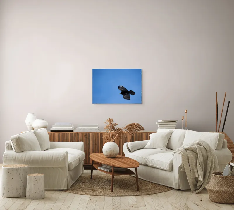 Tablou Canvas, "Pasărea solitară în zbor senin", Pasăre, Albastru, Cer, Zbor, Pene, Libertate, Natură, Liniște, 70 x 50 cm – poza 6