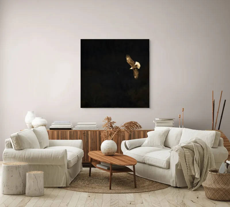 Tablou Canvas, "Vulturul zburând deasupra pădurii întunecate", Zbor, Vultur, Penaj, Întunecat, Cer, Pene, Majestuos, Libertate, Înalt., 100 x 100 cm – poza 3