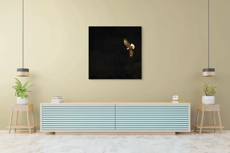Tablou Canvas, "Vulturul zburând deasupra pădurii întunecate", Zbor, Vultur, Penaj, Întunecat, Cer, Pene, Majestuos, Libertate, Înalt., 100 x 100 cm – poza 5