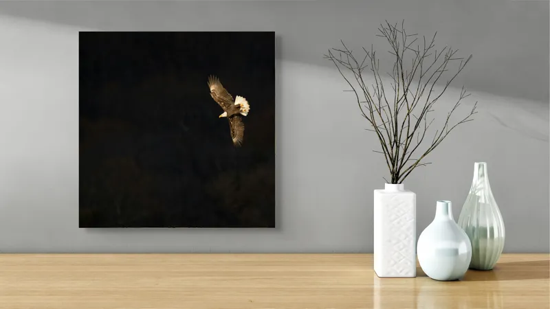 Tablou Canvas, "Vulturul zburând deasupra pădurii întunecate", Zbor, Vultur, Penaj, Întunecat, Cer, Pene, Majestuos, Libertate, Înalt., 50 x 50 cm – poza 3
