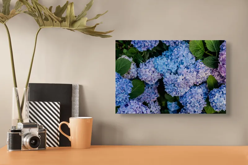 Tablou Canvas, "Hortensii albastre și frunze verzi", Nu știu cine sunt în această imagine., 39 x 26 cm – poza 3