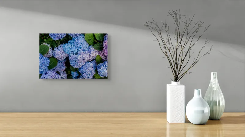 Tablou Canvas, "Hortensii albastre și frunze verzi", Nu știu cine sunt în această imagine., 39 x 26 cm – poza 8