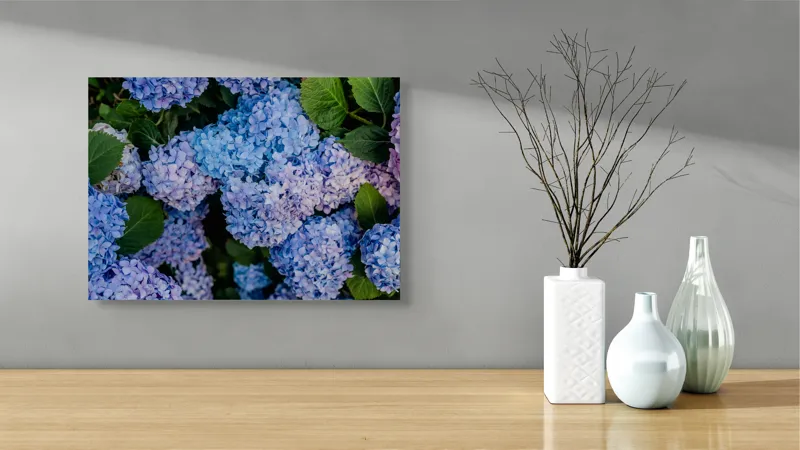 Tablou Canvas, "Hortensii albastre și frunze verzi", Nu știu cine sunt în această imagine., 54 x 39 cm – poza 3