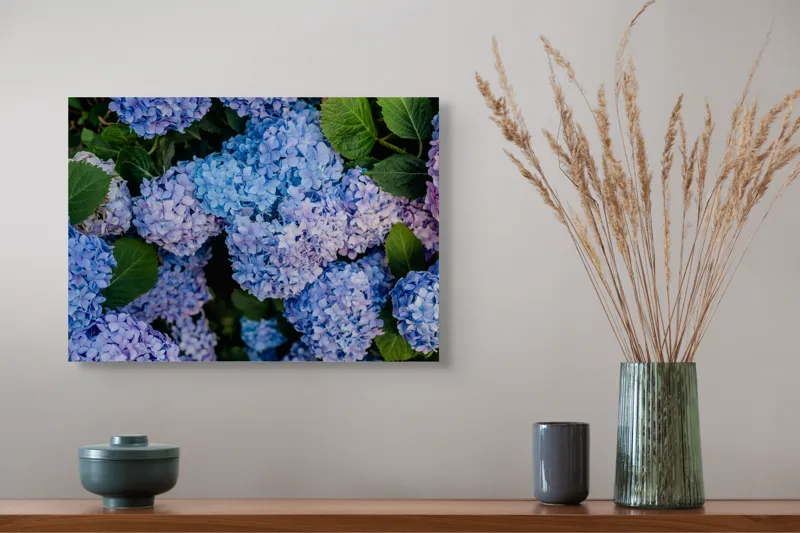 Tablou Canvas, "Hortensii albastre și frunze verzi", Nu știu cine sunt în această imagine., 54 x 39 cm – poza 4