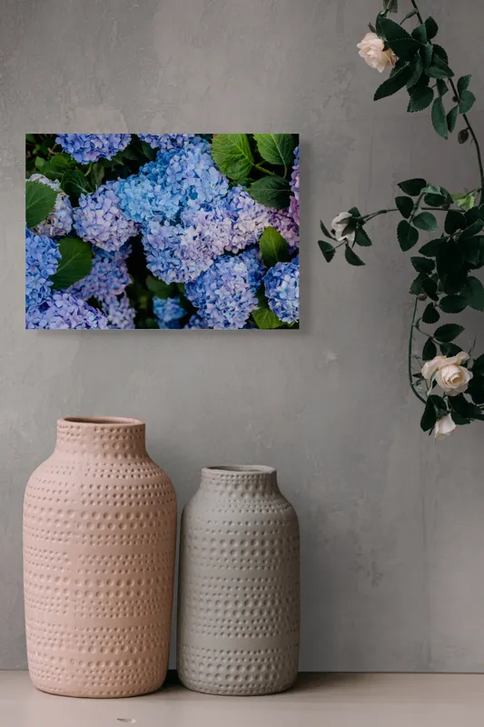 Tablou Canvas, "Hortensii albastre și frunze verzi", Nu știu cine sunt în această imagine., 54 x 39 cm – poza 8