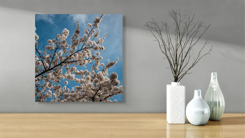 Tablou Canvas, "Flori de cireș sub cer senin", Cer, Flori, Ramuri, Primăvară, Nori, Albastru, Natură, Delicatețe, 50 x 50 cm – poza 3