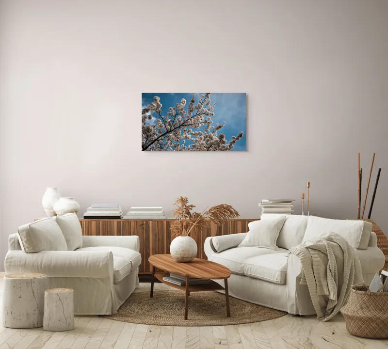 Tablou Canvas, "Flori de cireș sub cer senin", Cer, Flori, Ramuri, Primăvară, Nori, Albastru, Natură, Delicatețe, 90 x 50 cm – poza 4