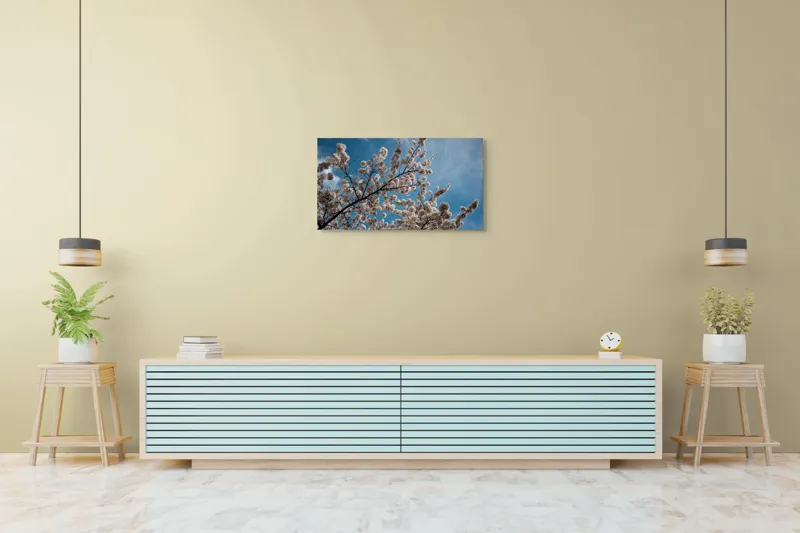 Tablou Canvas, "Flori de cireș sub cer senin", Cer, Flori, Ramuri, Primăvară, Nori, Albastru, Natură, Delicatețe, 90 x 50 cm – poza 5