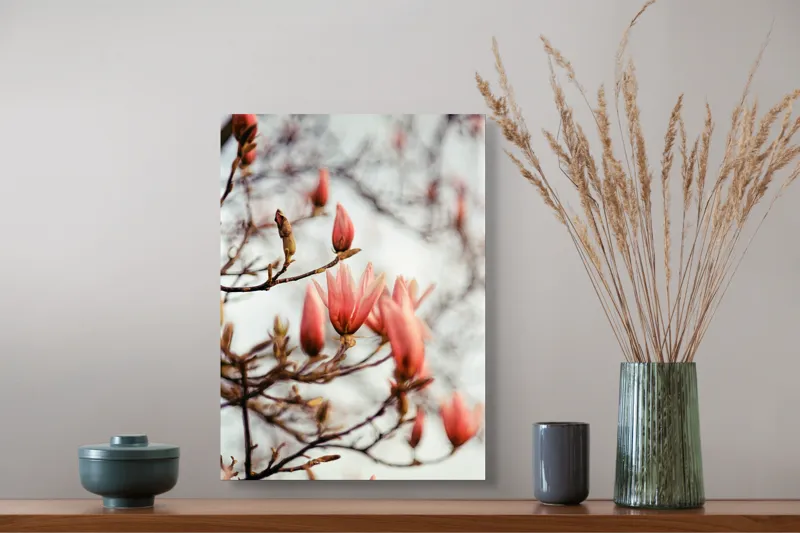 Tablou Canvas, "Muguri de magnolie în lumină blândă", Flori, Roz, Ramuri, Primavara, Boboci, Natura, Fragilitate, Lumina, Frumusete, Delicatete, 39 x 54 cm – poza 3