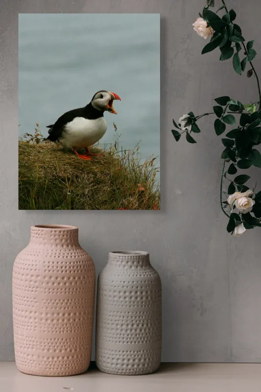 Tablou Canvas, "Puffin pe marginea stâncii nordice", Puffin, Ocean, Cliff, Grass, Beak, Wildlife, Nature, Wing, Feathers, Overcast, 39 x 54 cm – poza 6
