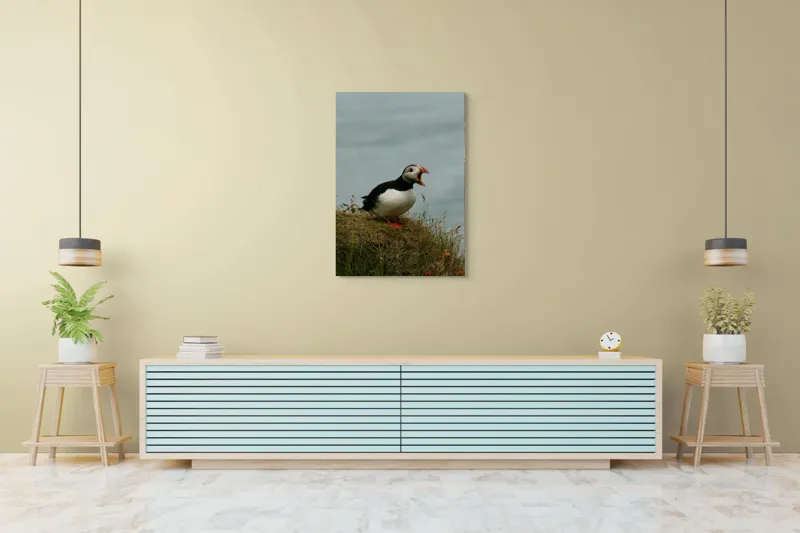 Tablou Canvas, "Puffin pe marginea stâncii nordice", Puffin, Ocean, Cliff, Grass, Beak, Wildlife, Nature, Wing, Feathers, Overcast, 70 x 100 cm – poza 5