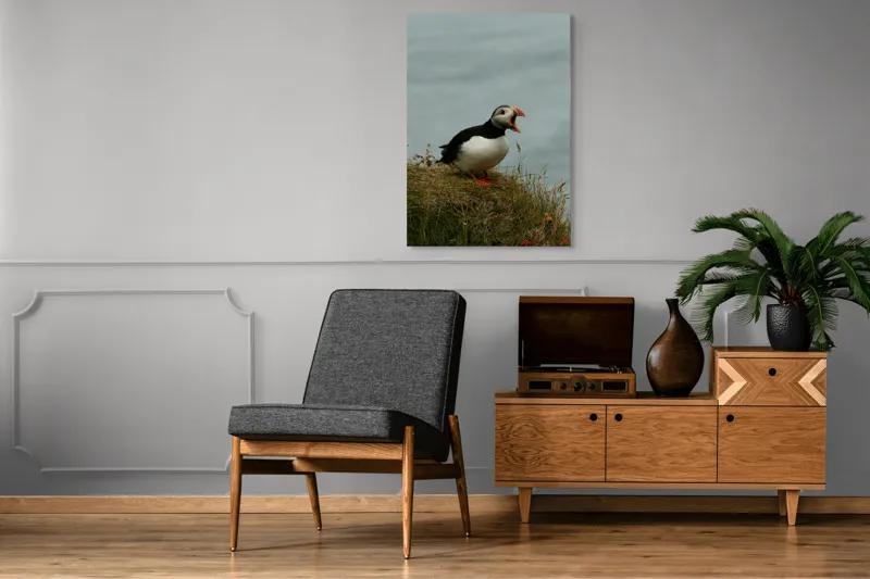 Tablou Canvas, "Puffin pe marginea stâncii nordice", Puffin, Ocean, Cliff, Grass, Beak, Wildlife, Nature, Wing, Feathers, Overcast, 70 x 100 cm – poza 6