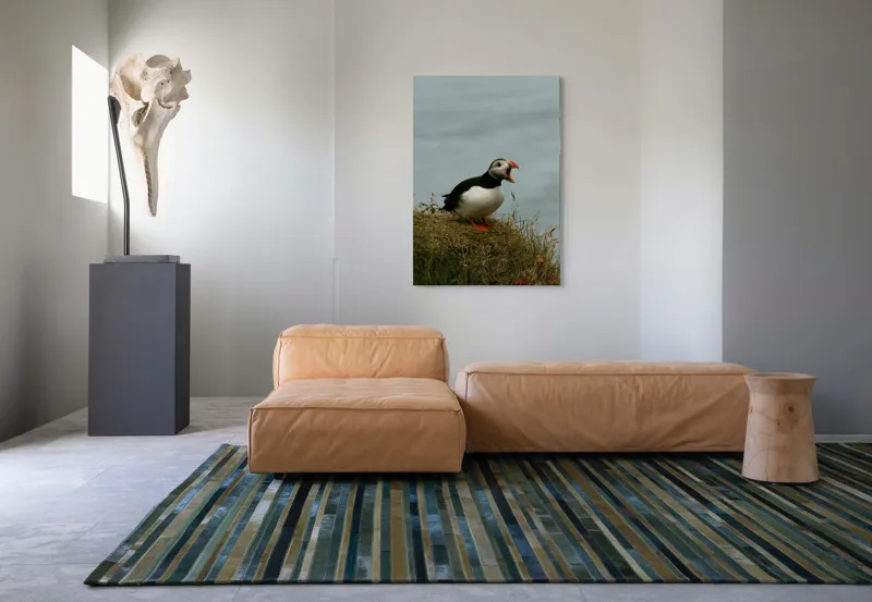 Tablou Canvas, "Puffin pe marginea stâncii nordice", Puffin, Ocean, Cliff, Grass, Beak, Wildlife, Nature, Wing, Feathers, Overcast, 70 x 100 cm – poza 7