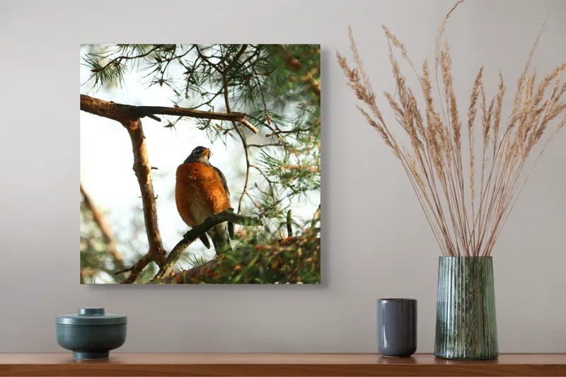 Tablou Canvas, "Păsărea contemplativă printre ramuri verzi", Pasăre, Crengi, Frunziș, Soare, Cer, Verde, Natură, Odihnă, 50 x 50 cm – poza 4
