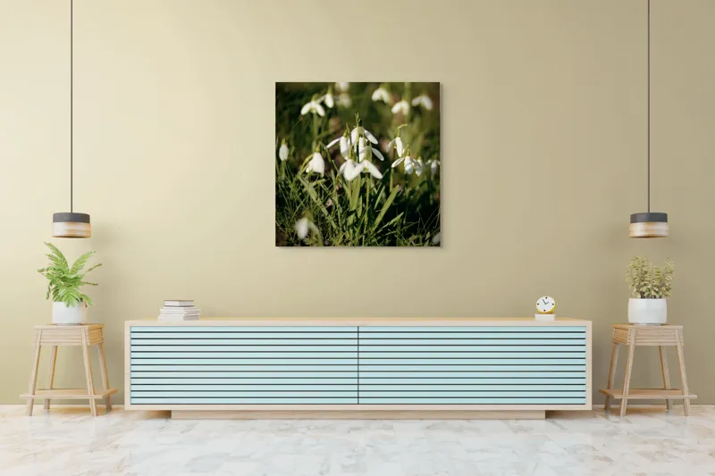 Tablou Canvas, "Vestitorii primăverii în lumina blândă", Flori, Gingășie, Primăvară, Alb, Natură, Verde, Delicatețe, Prospețime, Pădure, Răcoare, 100 x 100 cm – poza 5