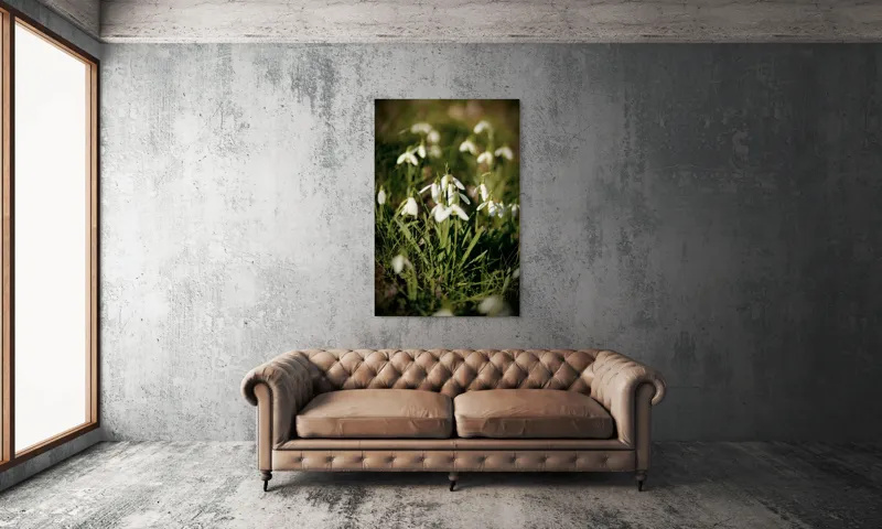 Tablou Canvas, "Vestitorii primăverii în lumina blândă", Flori, Gingășie, Primăvară, Alb, Natură, Verde, Delicatețe, Prospețime, Pădure, Răcoare, 100 x 150 cm – poza 6