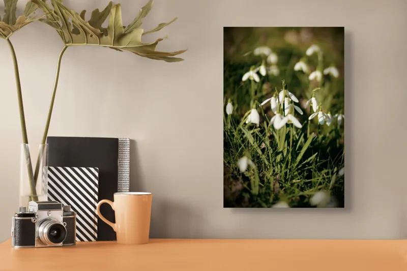 Tablou Canvas, "Vestitorii primăverii în lumina blândă", Flori, Gingășie, Primăvară, Alb, Natură, Verde, Delicatețe, Prospețime, Pădure, Răcoare, 26 x 39 cm – poza 3