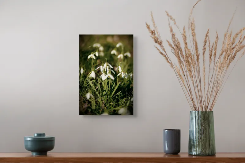 Tablou Canvas, "Vestitorii primăverii în lumina blândă", Flori, Gingășie, Primăvară, Alb, Natură, Verde, Delicatețe, Prospețime, Pădure, Răcoare, 26 x 39 cm – poza 5