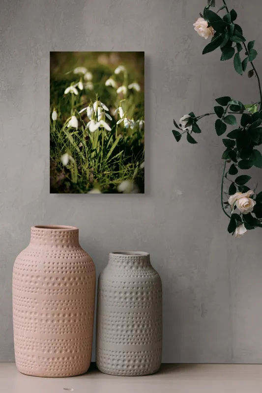 Tablou Canvas, "Vestitorii primăverii în lumina blândă", Flori, Gingășie, Primăvară, Alb, Natură, Verde, Delicatețe, Prospețime, Pădure, Răcoare, 26 x 39 cm – poza 6