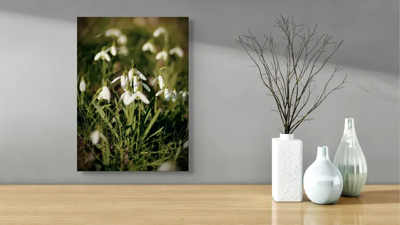 Tablou Canvas, "Vestitorii primăverii în lumina blândă", Flori, Gingășie, Primăvară, Alb, Natură, Verde, Delicatețe, Prospețime, Pădure, Răcoare, 39 x 54 cm – poza 4