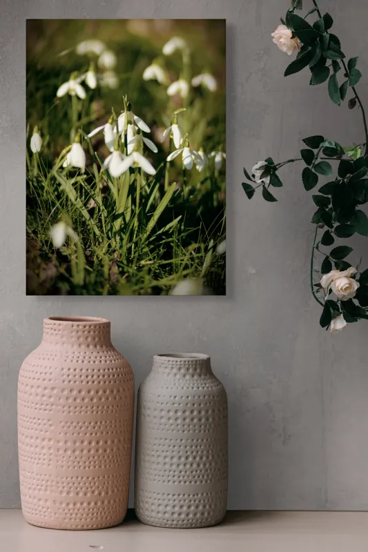 Tablou Canvas, "Vestitorii primăverii în lumina blândă", Flori, Gingășie, Primăvară, Alb, Natură, Verde, Delicatețe, Prospețime, Pădure, Răcoare, 39 x 54 cm – poza 6