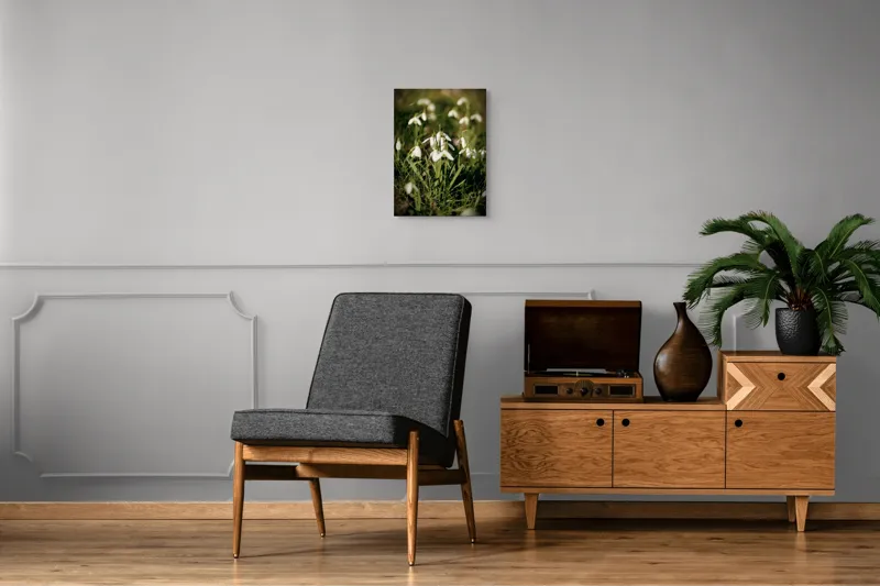 Tablou Canvas, "Vestitorii primăverii în lumina blândă", Flori, Gingășie, Primăvară, Alb, Natură, Verde, Delicatețe, Prospețime, Pădure, Răcoare, 39 x 54 cm – poza 8