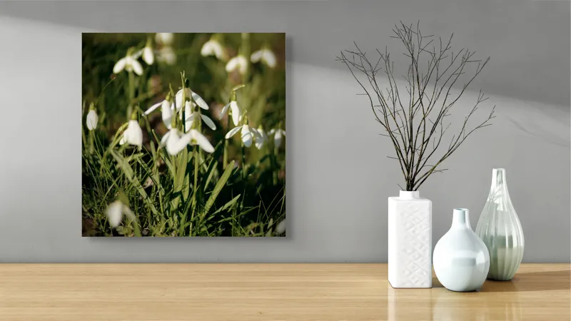 Tablou Canvas, "Vestitorii primăverii în lumina blândă", Flori, Gingășie, Primăvară, Alb, Natură, Verde, Delicatețe, Prospețime, Pădure, Răcoare, 50 x 50 cm – poza 3