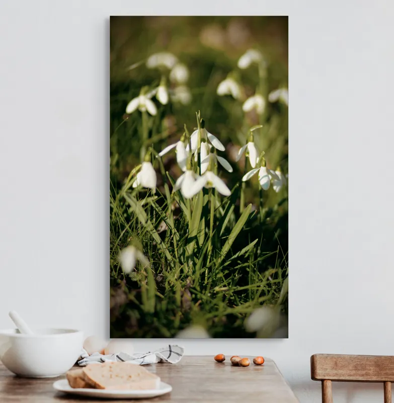 Tablou Canvas, "Vestitorii primăverii în lumina blândă", Flori, Gingășie, Primăvară, Alb, Natură, Verde, Delicatețe, Prospețime, Pădure, Răcoare, 50 x 90 cm – poza 3