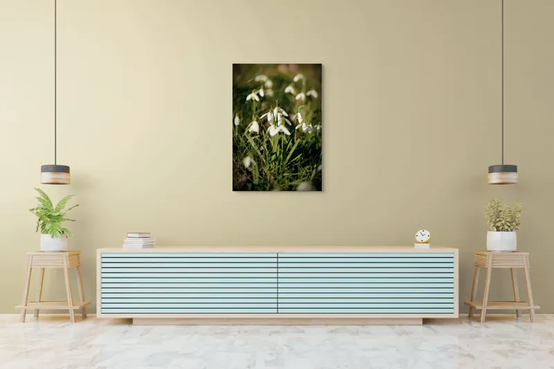 Tablou Canvas, "Vestitorii primăverii în lumina blândă", Flori, Gingășie, Primăvară, Alb, Natură, Verde, Delicatețe, Prospețime, Pădure, Răcoare, 70 x 100 cm – poza 5