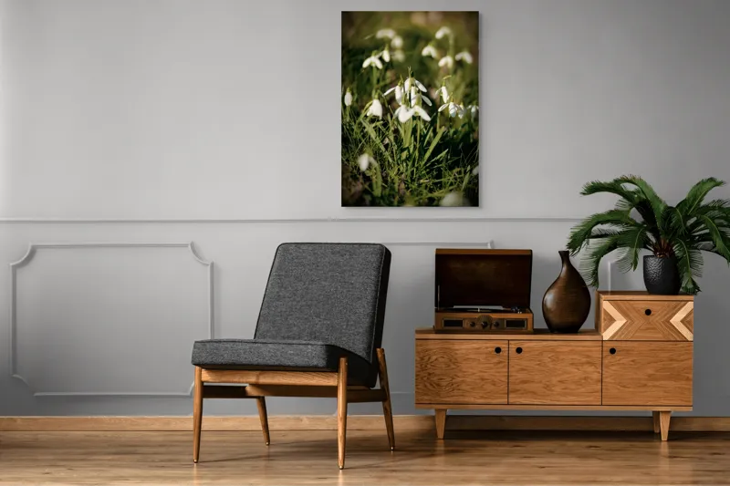Tablou Canvas, "Vestitorii primăverii în lumina blândă", Flori, Gingășie, Primăvară, Alb, Natură, Verde, Delicatețe, Prospețime, Pădure, Răcoare, 70 x 100 cm – poza 6