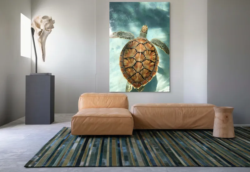Tablou Canvas, "Broasca țestoasă înotând grațios în apă", Broască, Țestoasă, Apă, Claritate, Reflexie, Culoare, Natură, Serenitate, 100 x 150 cm – poza 7