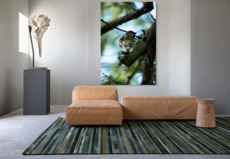 Tablou Canvas, "Vrăbiuța printre crengi verzi", Pasăre, Ramură, Frunze, Cer, Natură, Bokeh, 100 x 150 cm – poza 7