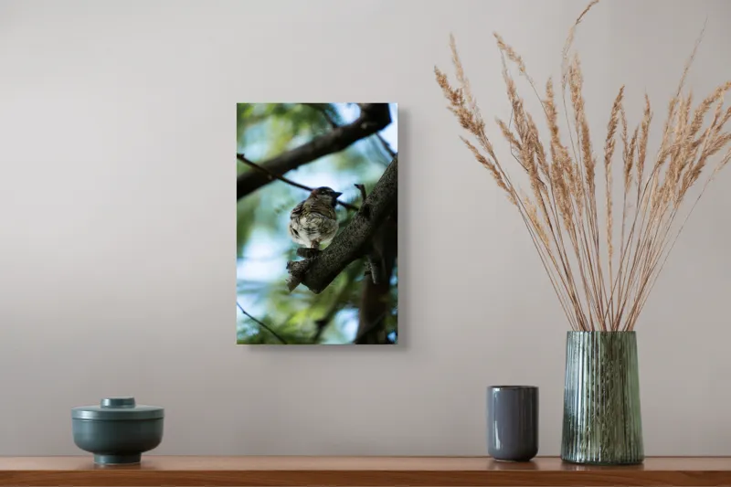 Tablou Canvas, "Vrăbiuța printre crengi verzi", Pasăre, Ramură, Frunze, Cer, Natură, Bokeh, 26 x 39 cm – poza 5