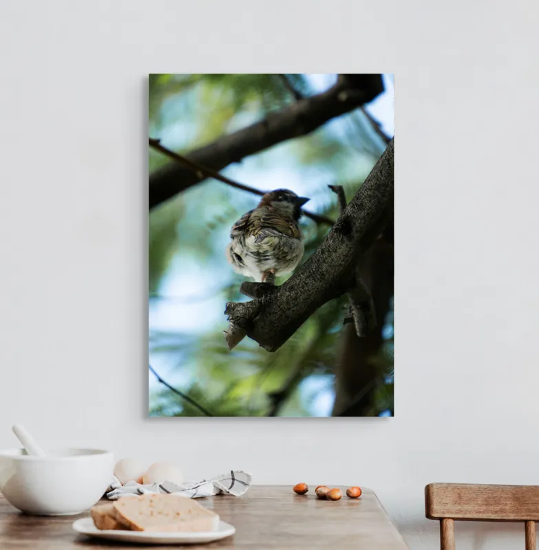 Tablou Canvas, "Vrăbiuța printre crengi verzi", Pasăre, Ramură, Frunze, Cer, Natură, Bokeh, 50 x 70 cm – poza 3