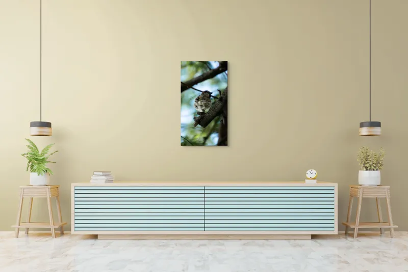 Tablou Canvas, "Vrăbiuța printre crengi verzi", Pasăre, Ramură, Frunze, Cer, Natură, Bokeh, 50 x 90 cm – poza 6