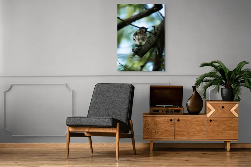 Tablou Canvas, "Vrăbiuța printre crengi verzi", Pasăre, Ramură, Frunze, Cer, Natură, Bokeh, 70 x 100 cm – poza 6