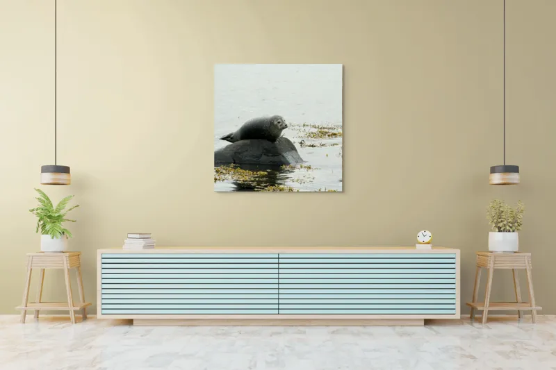 Tablou Canvas, "Foca odihnindu-se pe stâncă мокрая", Focă, Piatră, Apă, Alge, Cer, Ocean, Natură, Relaxează, Observă, Odihnă, 100 x 100 cm – poza 5