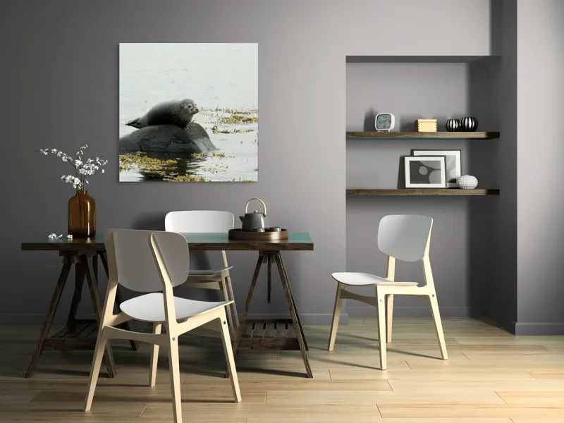 Tablou Canvas, "Foca odihnindu-se pe stâncă мокрая", Focă, Piatră, Apă, Alge, Cer, Ocean, Natură, Relaxează, Observă, Odihnă, 100 x 100 cm – poza 6